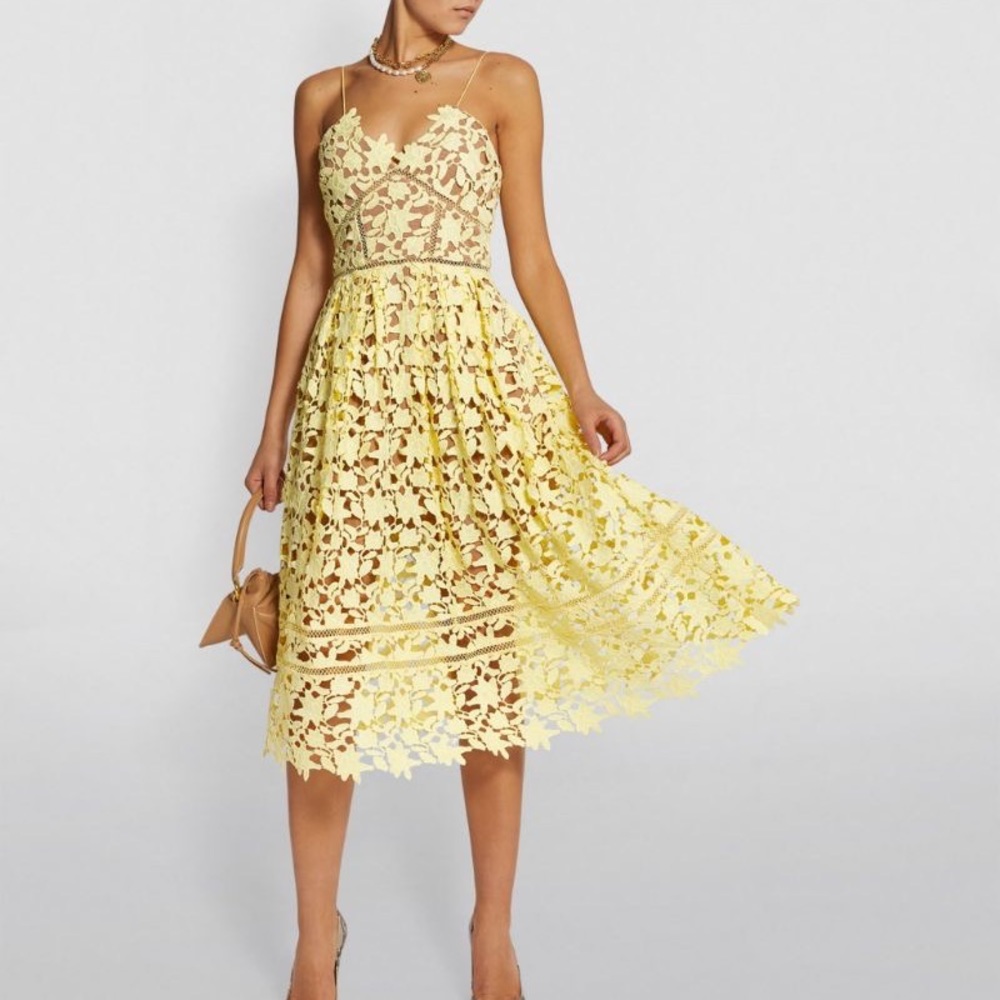 Self Portrait Azaelea Dress Embroidered lace pleated A - line dress